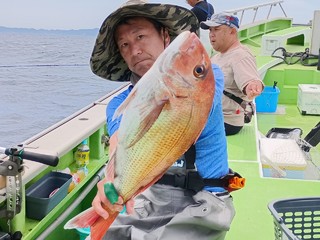 マダイ