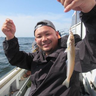 シロギス