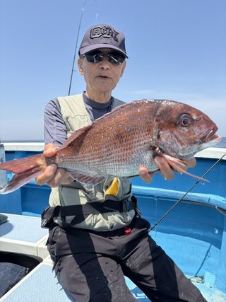 マダイ