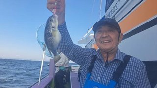 ショウサイフグ