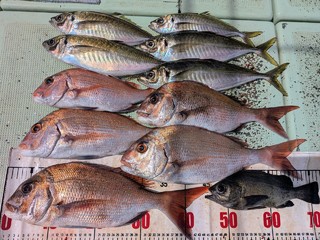 タイ