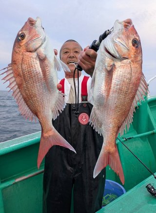 マダイ