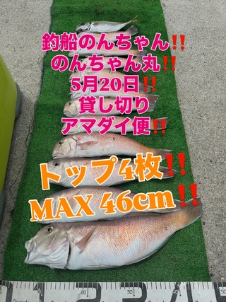 シロアマダイ