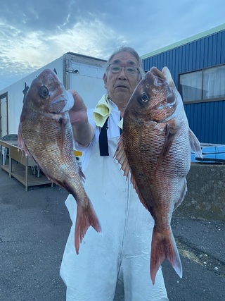 マダイ