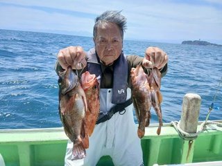 カサゴ