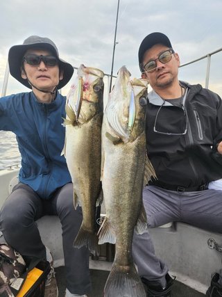 シーバス