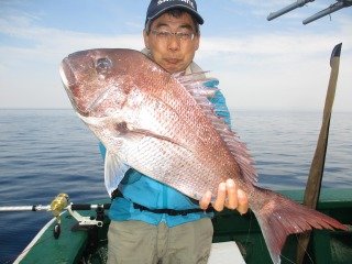 マダイ