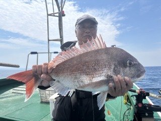 マダイ