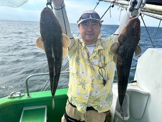 マゴチ
