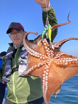 タコ