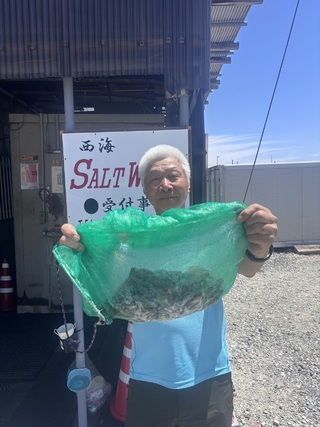 マダコ