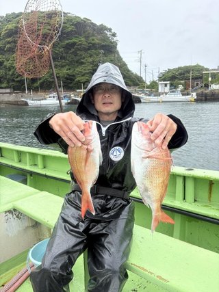 マダイ