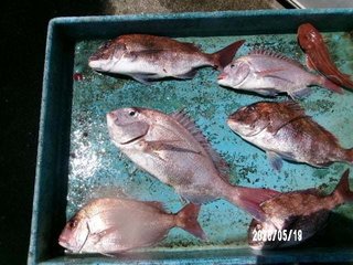 タイ