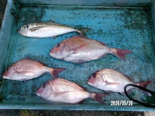 タイ