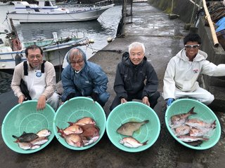 マダイ