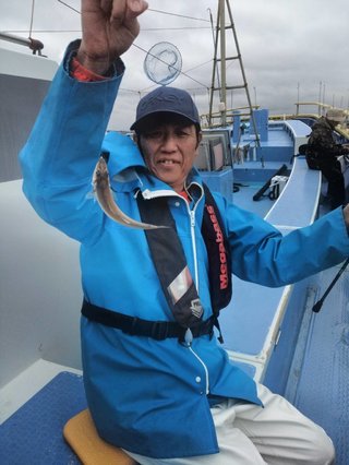 シロギス