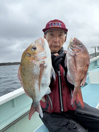 マダイ