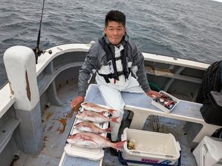 マダイ