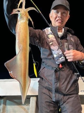 スルメイカ
