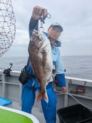 マダイ