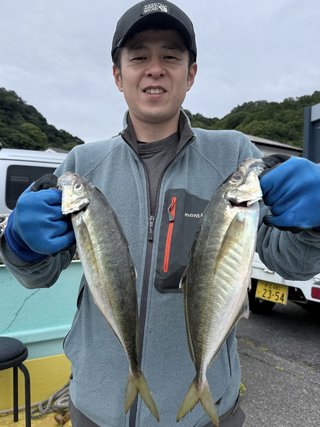 アジ