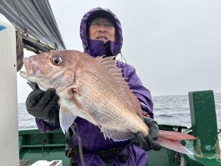 マダイ