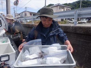 スルメイカ