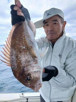 マダイ