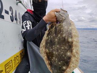 ヒラメ