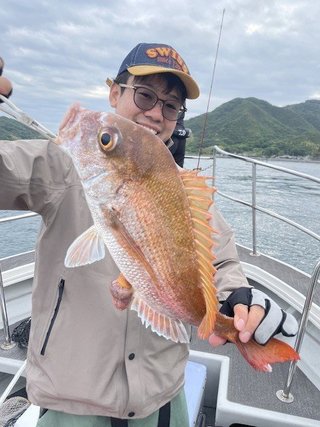 マダイ