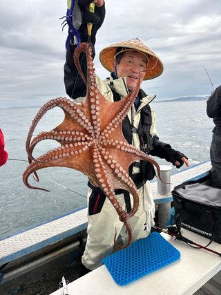 タコ