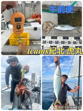 ハマチ