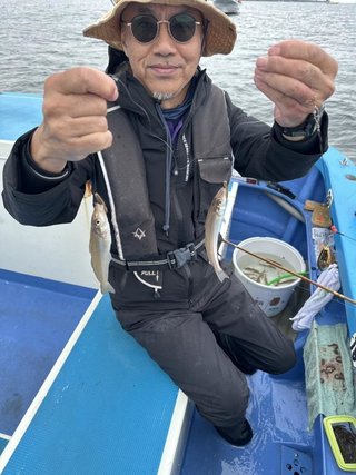 シロギス