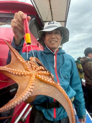 タコ