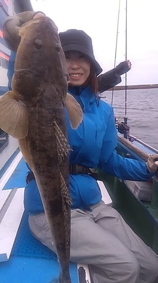 シロギス