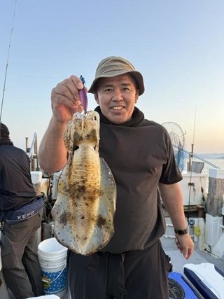 アオリイカ