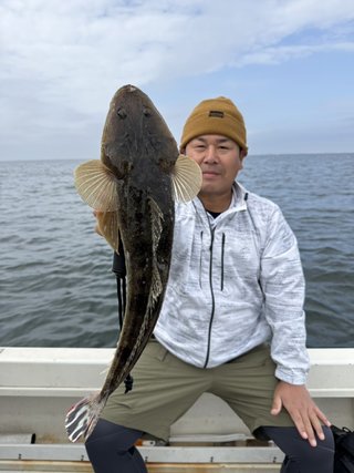 マゴチ