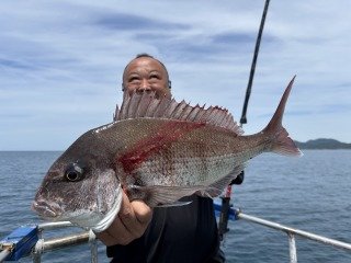 マダイ