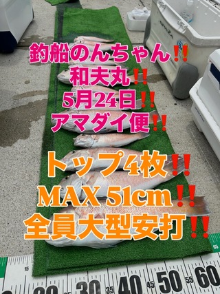 シロアマダイ