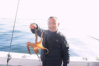 タコ