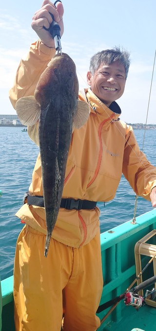 シロギス