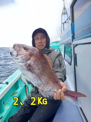 マダイ