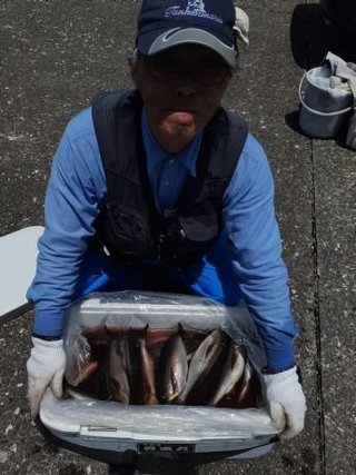 イサキ