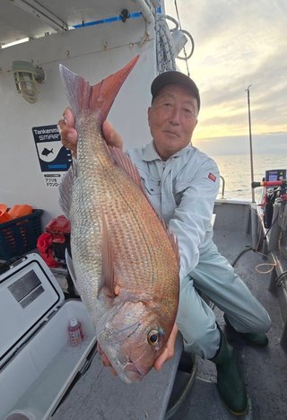 マダイ