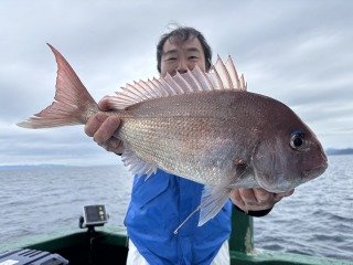 マダイ