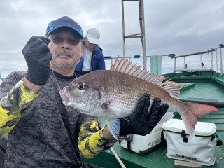 マダイ