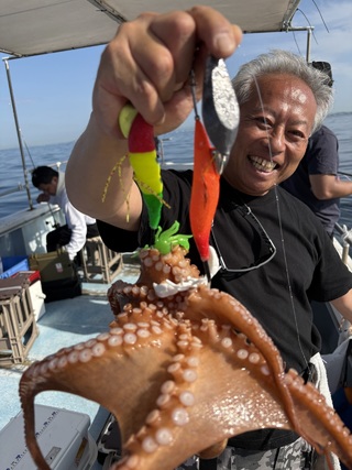 マダコ
