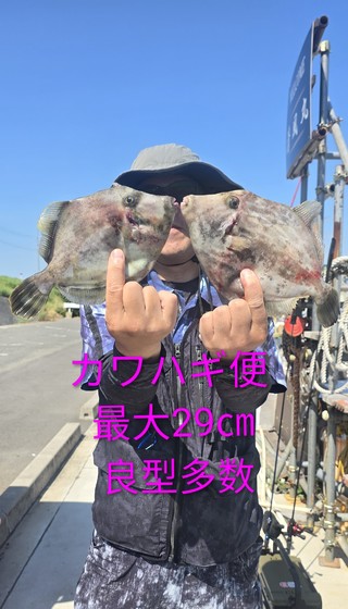 カワハギ