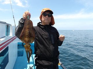 アオリイカ