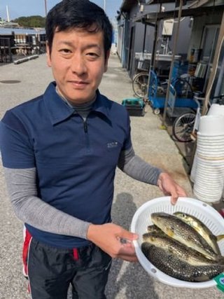 ショウサイフグ